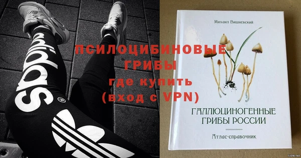 сатива Бикин