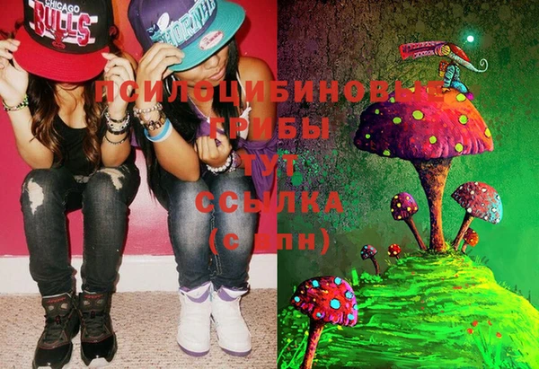 метадон Бородино